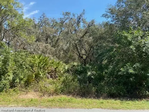 5914 Cherry Rd, Sebring, FL 33875 photo 1