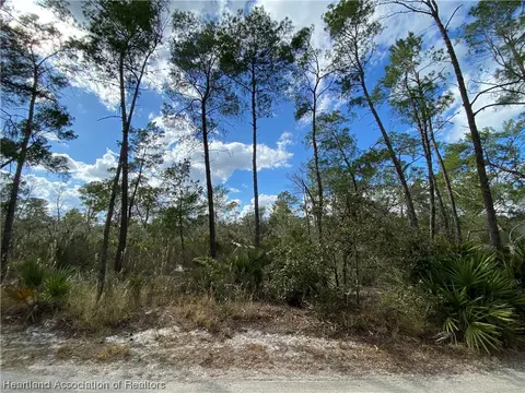 455 Goff Ln, Sebring, FL 33875 photo 3