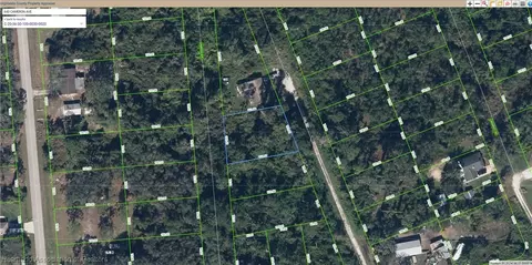 643 Cameron Ave, Lake Placid, FL 33852