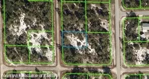 1045 Iguana St, Lake Placid, FL 33852
