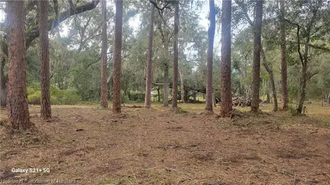9401 Kingfisher Pl, Sebring, FL 33875 photo 3