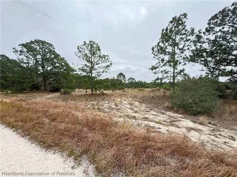 319 Vienna Ave, Lake Placid, FL 33852