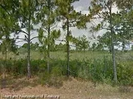 353 Norseman Ave NW, Lake Placid, FL 33852
