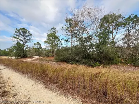 361 Summer Hill Dr, Lake Placid, FL 33852