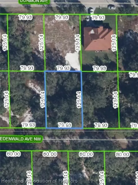 109 Edenwald Ave NW, Lake Placid, FL 33852