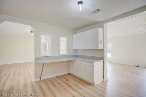 3132 Irish Dr, Lorida, FL 33857 photo 12