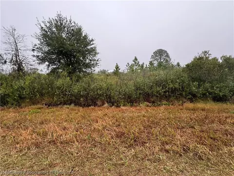 2135 W Howley Rd, Avon Park, FL 33825