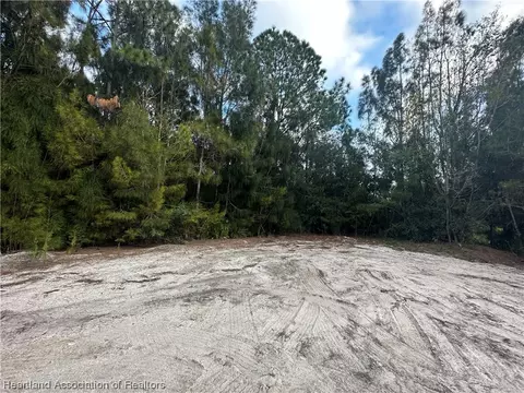 1700 Varsity Ter, Lorida, FL 33857 photo 3