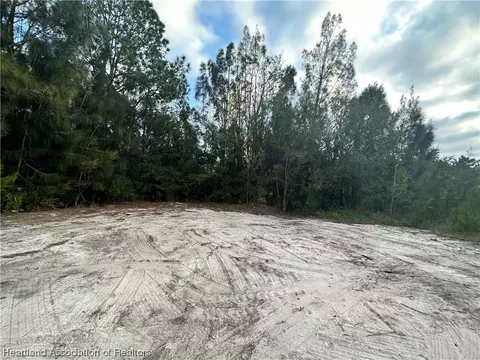 1700 Varsity Ter, Lorida, FL 33857 photo 4