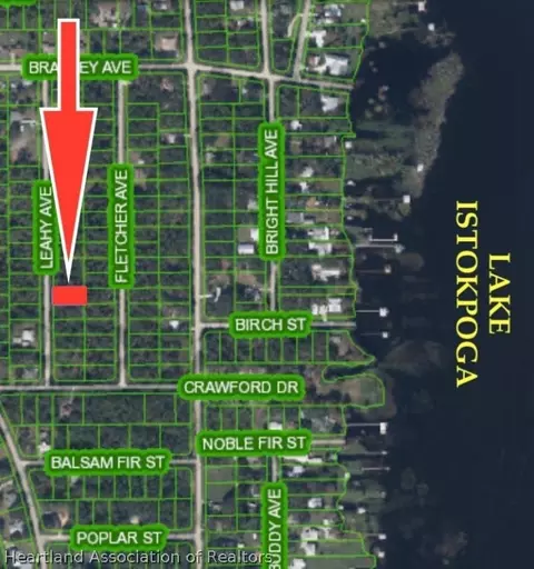 437 Leahy Ave, Lake Placid, FL 33852
