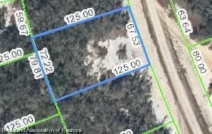 226 Dargen Dr, Lake Placid, FL 33852
