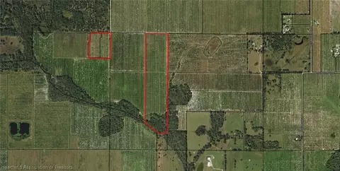 Schontag Road, Wauchula, FL 33873