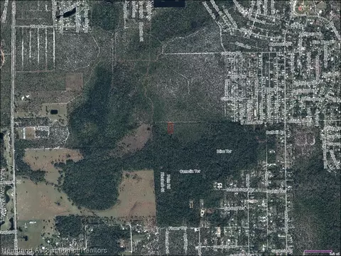 2234 Daffodil Ave, Sebring, FL 33875 photo 3