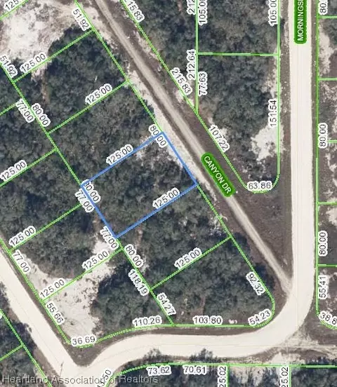 306 Canyon Dr, Lake Placid, FL 33852