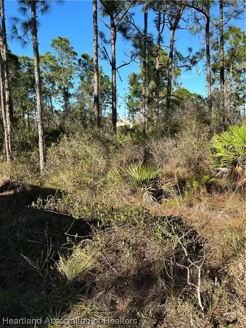 609 Pershing Ave, Lake Placid, FL 33852 photo 3