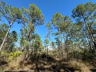 609 Pershing Ave, Lake Placid, FL 33852