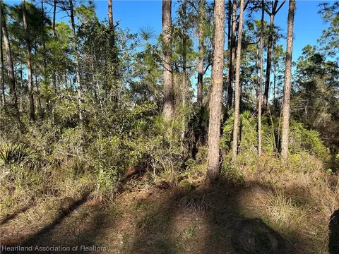 609 Pershing Ave, Lake Placid, FL 33852 photo 2