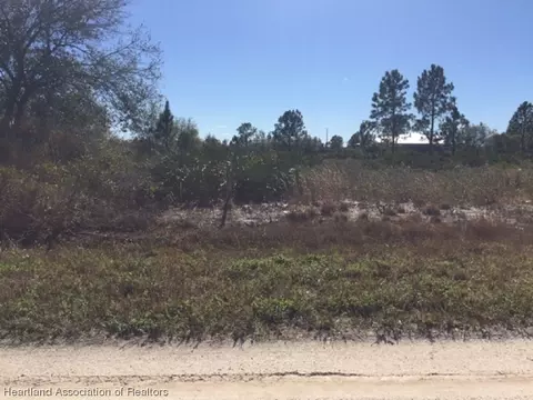 2345 W Shula Rd, Avon Park, FL 33825