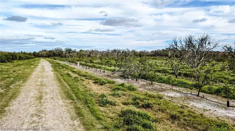 Flint Drive, Zolfo Springs, FL 33890