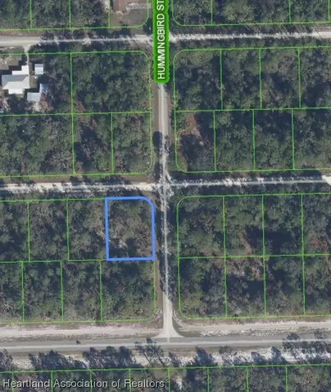1002 Hummingbird St, Lake Placid, FL 33852