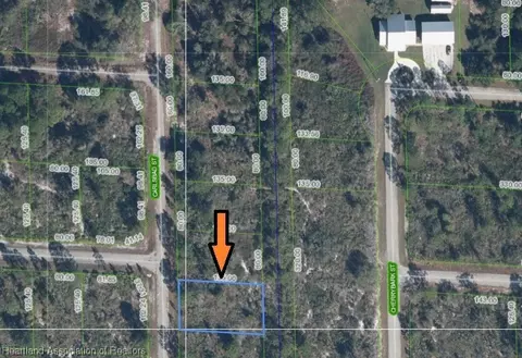 1005 Carlsbad St, Lake Placid, FL 33852