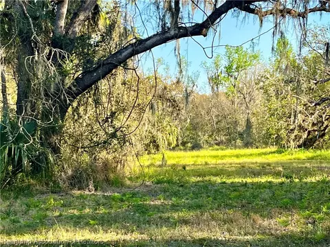 Dansby Road, Wauchula, FL 33873
