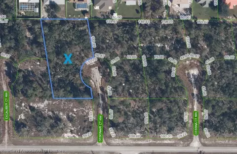 116 Debonair Ct NW, Lake Placid, FL 33852