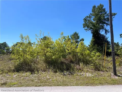 317 Lincoln Rd NE, Lake Placid, FL 33852