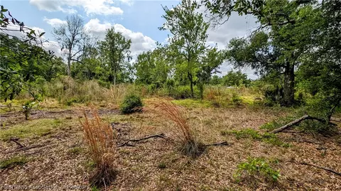 Keentown Road, Parrish, FL 34219 photo 14