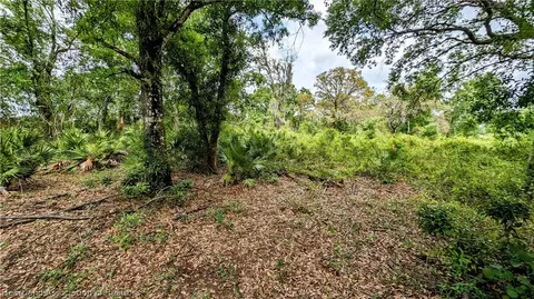 Keentown Road, Parrish, FL 34219 photo 13