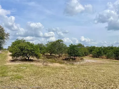 Fish Branch Road, Zolfo Springs, FL 33890