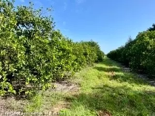 Steve Roberts Special Road, Zolfo Springs, FL 33890
