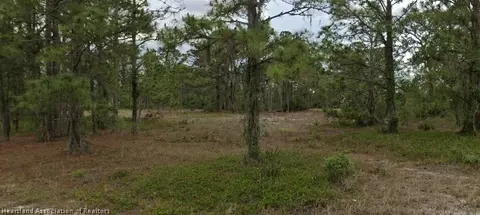 311 Summertime Ave, Lake Placid, FL 33852