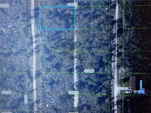 436 Parakeet Ave, Sebring, FL 33872 photo 1