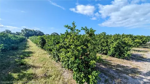 8002 Crewsville Rd, Zolfo Springs, FL 33890
