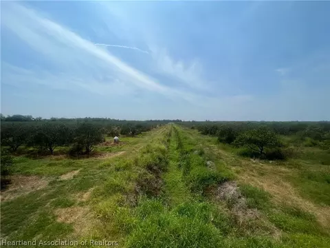 Schontag Road, Wauchula, FL 33873