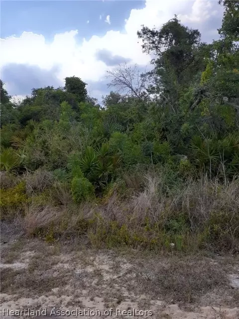 325 Hoover Ave NE, Lake Placid, FL 33852