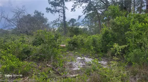 309 Moon River Ave, Lake Placid, FL 33852