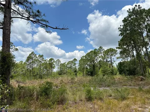 1008 Norwood St, Lake Placid, FL 33852