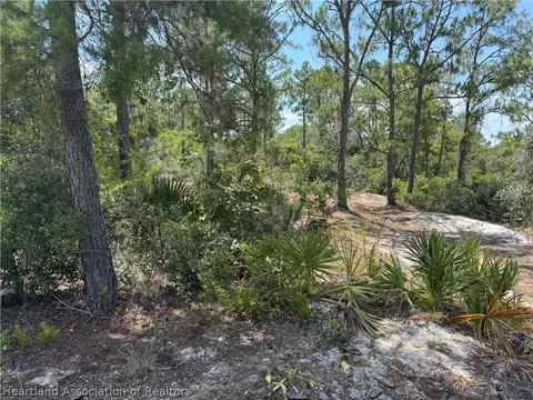 442 Apple Blossom Ct, Lake Placid, FL 33852