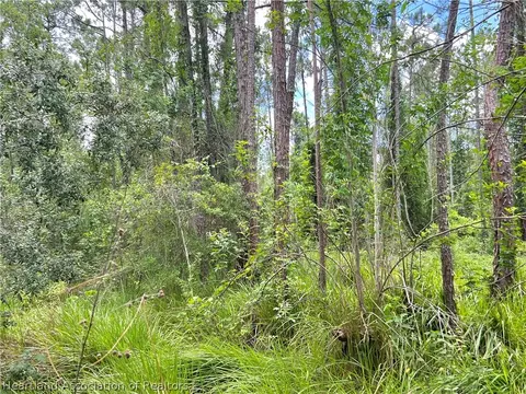1311 Iris Ave, Sebring, FL 33875