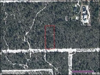 2138 Macintosh Ave, Sebring, FL 33875