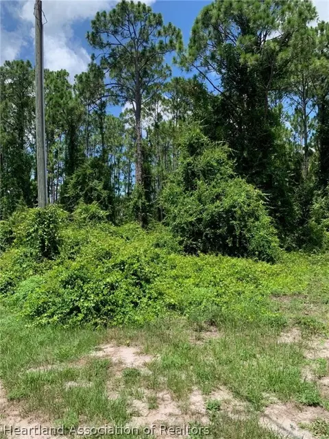 614 Wildflower St, Lake Placid, FL 33852