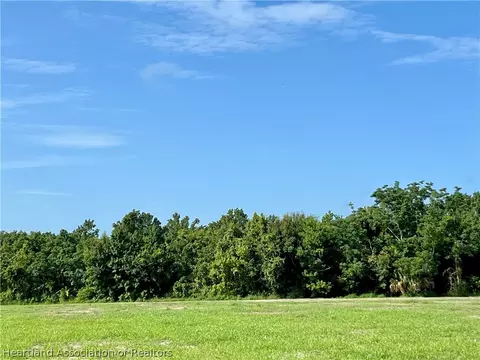 Alec Hendry Road, Wauchula, FL 33873