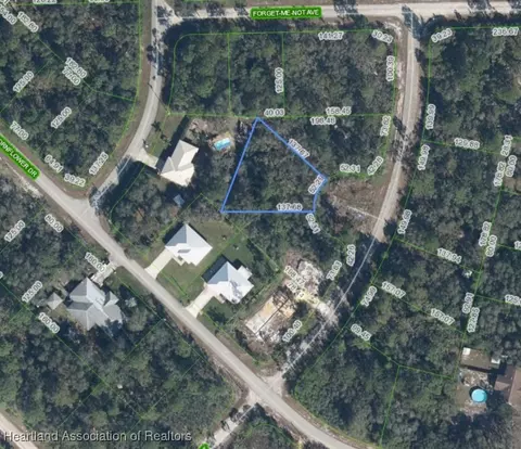 938 Narcissus St, Lake Placid, FL 33852