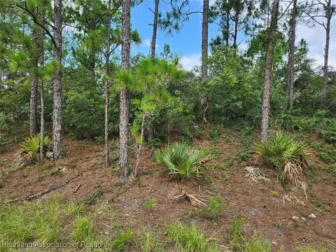 124 Fascination Dr, Lake Placid, FL 33852