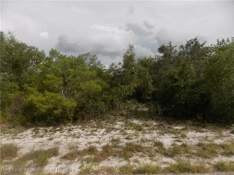 116 Pear Ave NW, Lake Placid, FL 33852