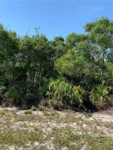 616 Cowhouse Rd, Lorida, FL 33857 photo 6