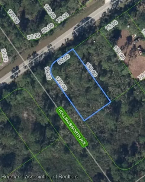 1019 Burnett St, Lake Placid, FL 33852