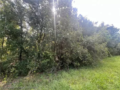 1385 S Jeter Rd, Avon Park, FL 33825